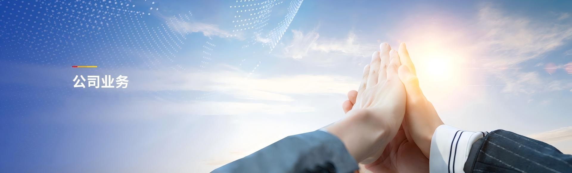 公司业务
